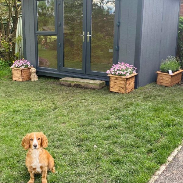 Bespoke 3m Hampton with opening window