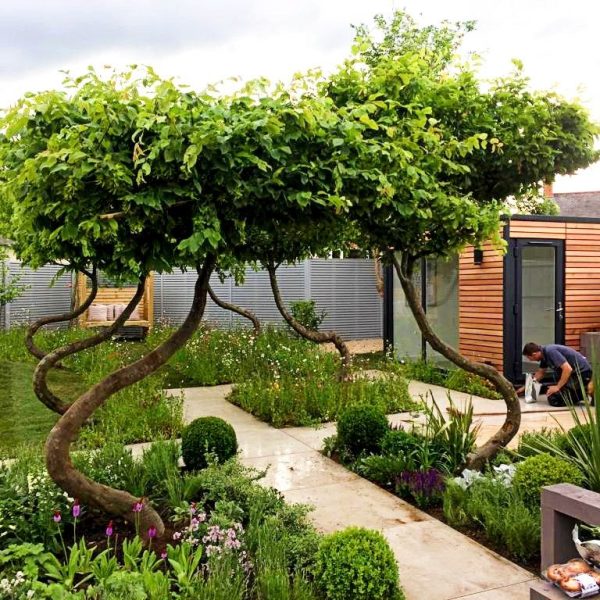 bespoke quadpod Super Maxi 3.6 x 2.4m studio